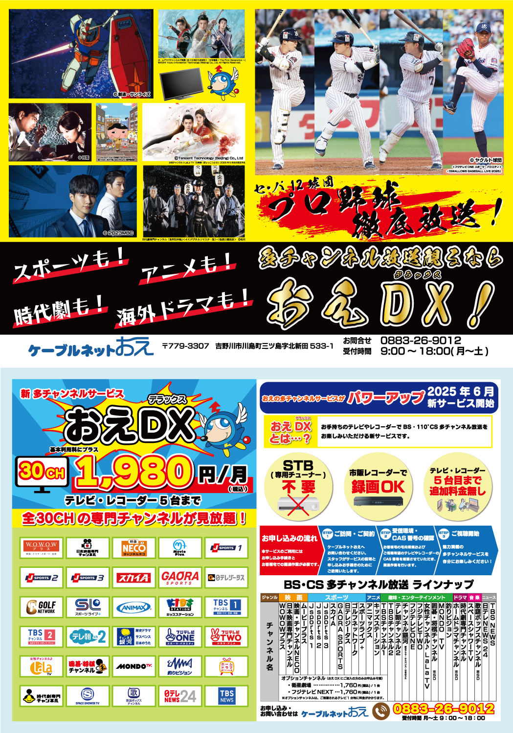 DXちらし